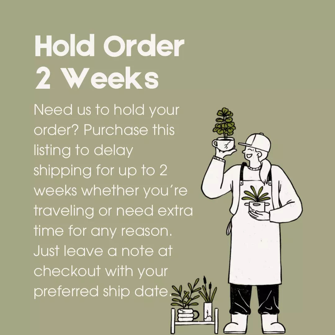 Hold Order 2 Weeks