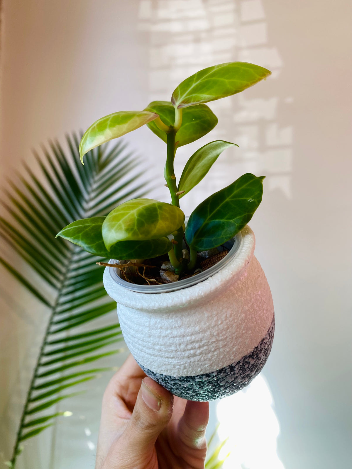 White Ceramic Planter with Drainage