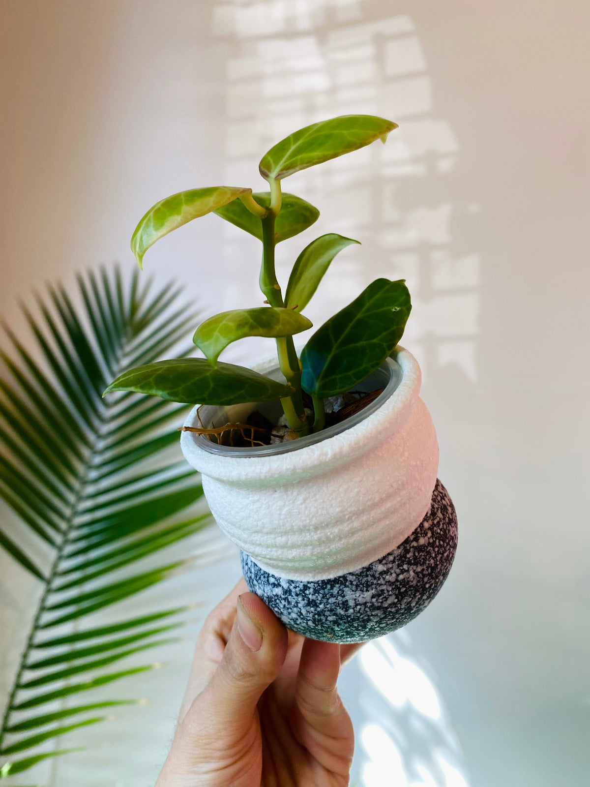 White Ceramic Planter with Drainage