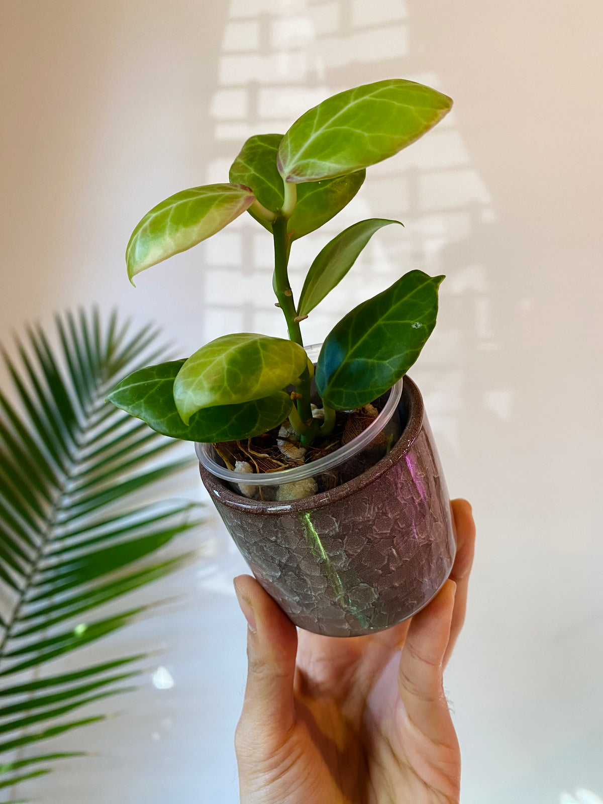 Light Brown Ceramic Planter with Drainage