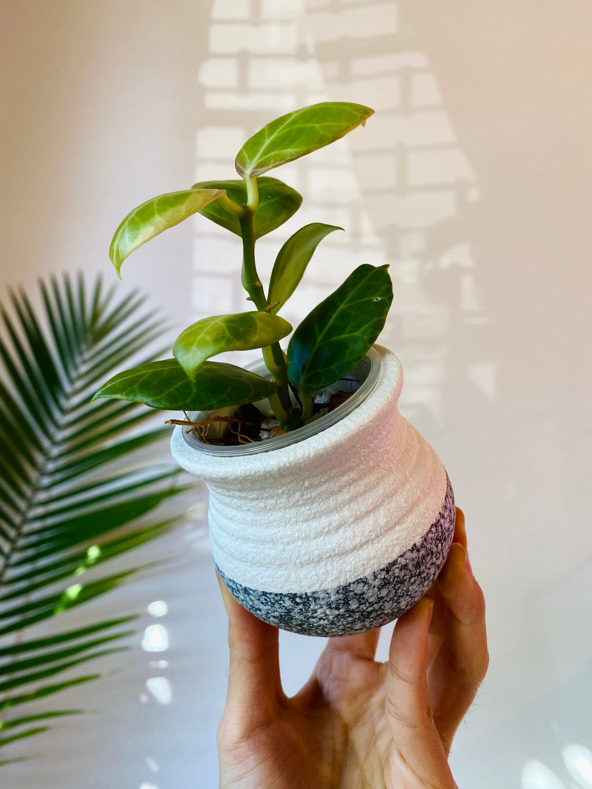 White Ceramic Planter with Drainage