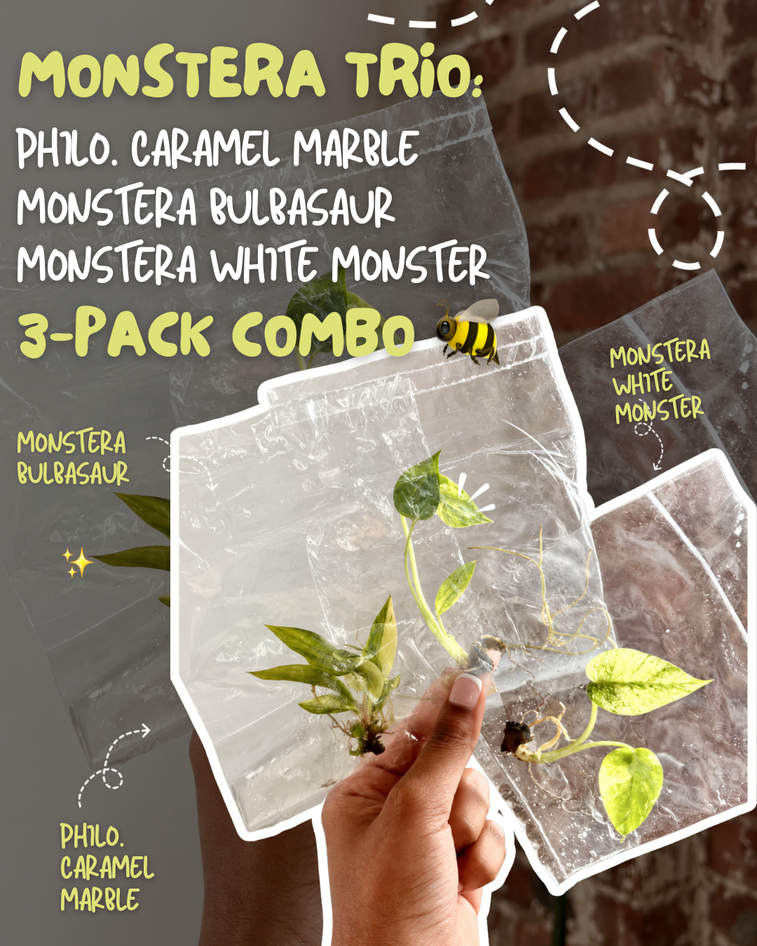 Monster Trio: Caramel, Bulbasaur &amp; White Monster Combo Grower’s Choice 3 Pack