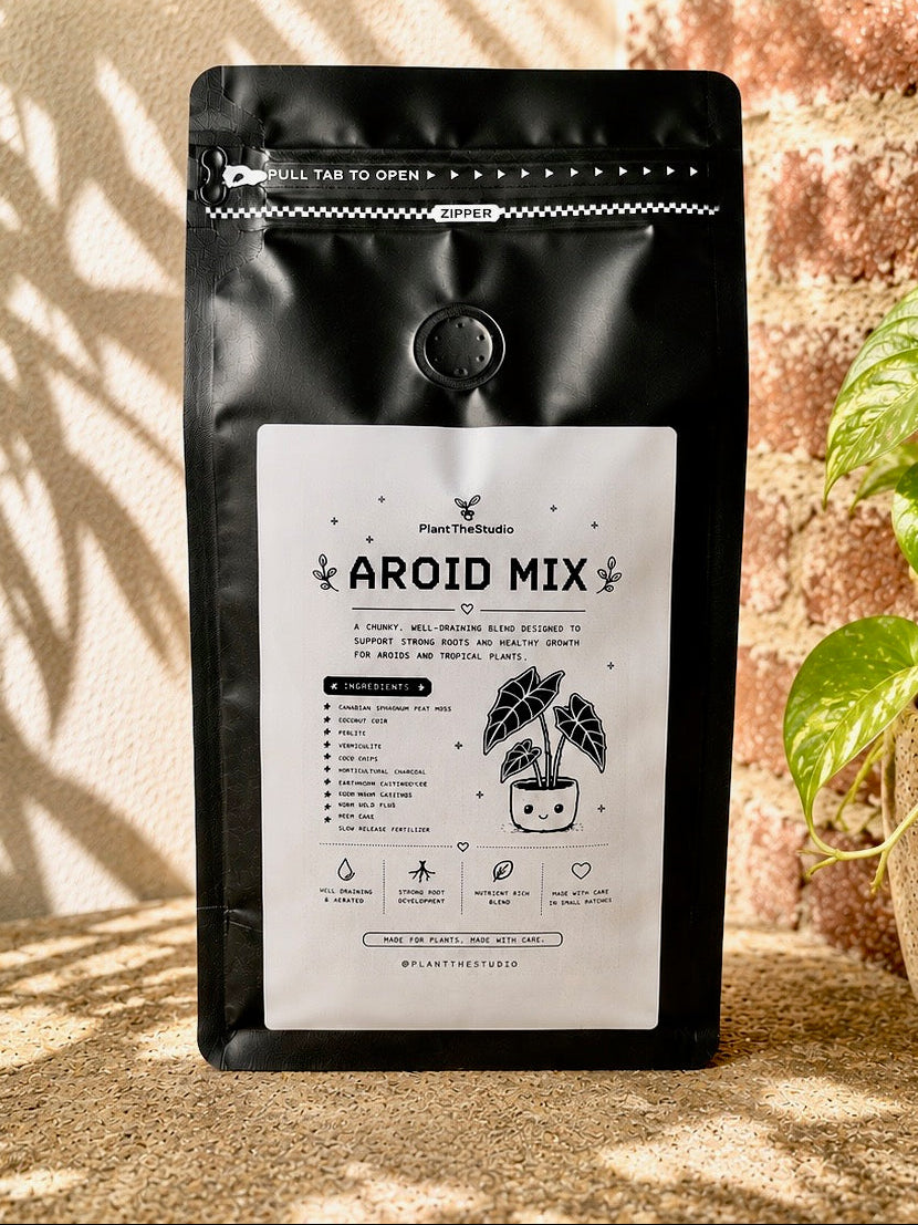 Aroid Starter Mix – Perfect for Plugs