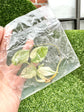 Monstera Deliciosa Mint Variegata Tissue Culture (Grower’s Choice) + Care Instructions