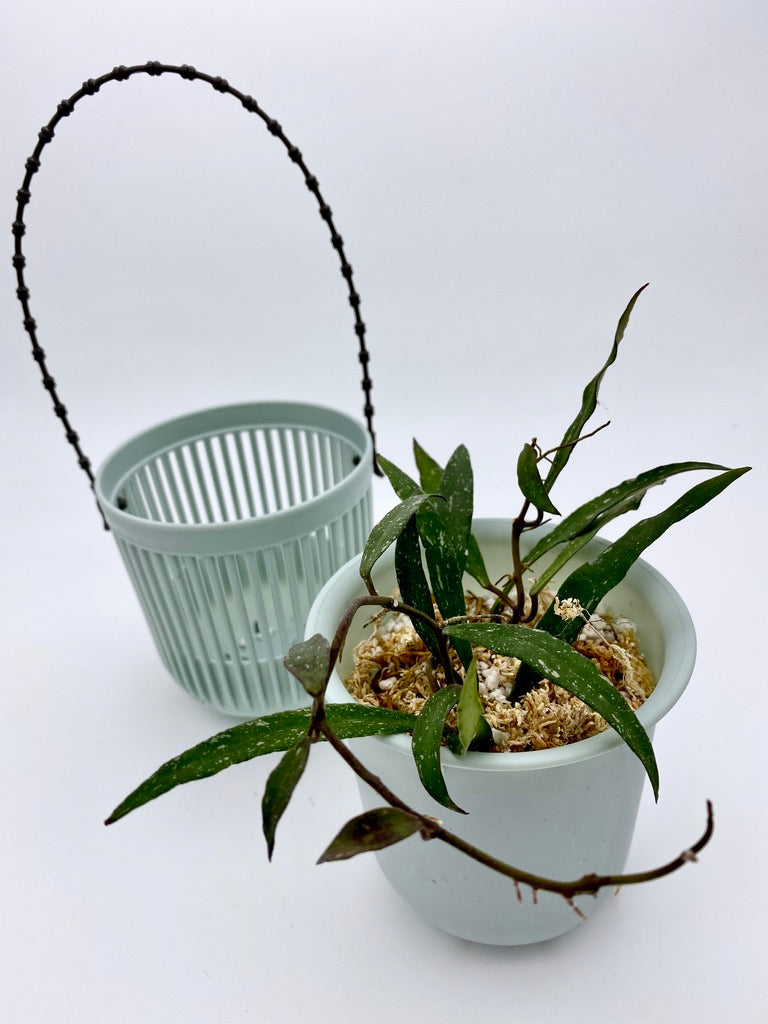 Self Watering Plastic Hanging Planter
