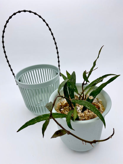 Self Watering Plastic Hanging Planter