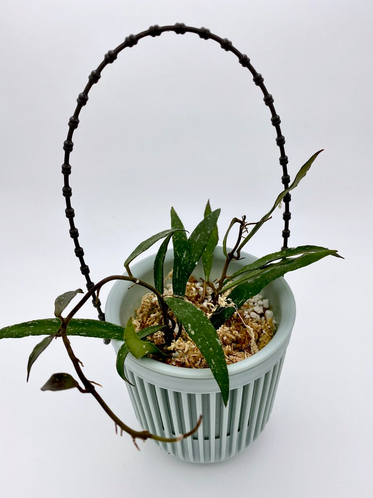 Self Watering Plastic Hanging Planter